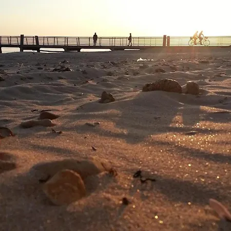 Bel Proche Avec Terrasse - Hilaire De Riez - Fr-1-323-455 Saint-Hilaire-de-Riez