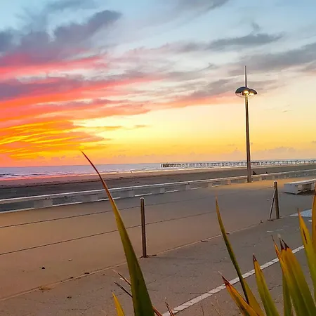 Apartament Bel Proche Avec Terrasse - Hilaire De Riez - Fr-1-323-455 *