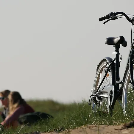 Apartament Bel Proche Avec Terrasse - Hilaire De Riez - Fr-1-323-455 Saint-Hilaire-de-Riez