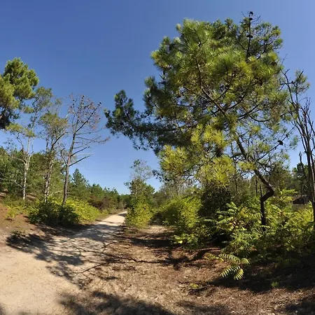 Bel Proche Avec Terrasse - Hilaire De Riez - Fr-1-323-455 Saint-Hilaire-de-Riez