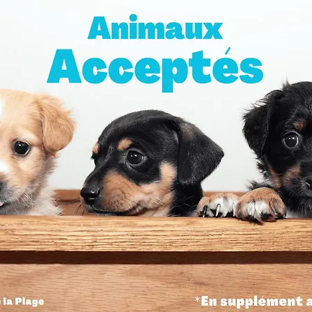 Bel Proche Avec Terrasse - Hilaire De Riez - Fr-1-323-455 *